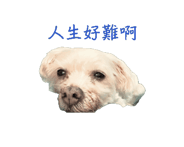 846206237