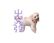 846206238