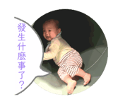 846206514