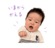 846206800