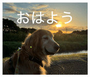 846207226