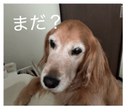 846207232