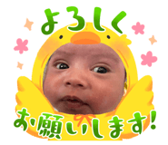 846207485