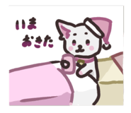 846207521