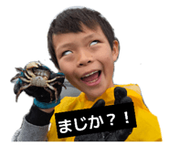 846207556