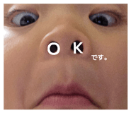 846207562