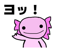 846208009