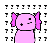 846208015