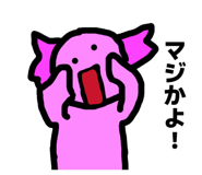 846208021