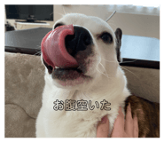 846208095