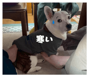 846208099