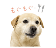 846209758