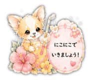 846210729