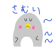 846211155