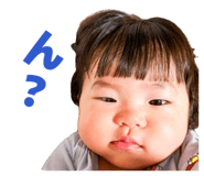 846211308