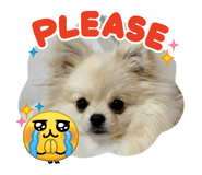 846211558