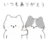 846211582