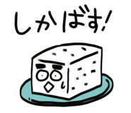 846211680