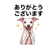 846211851