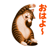 846211913