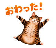 846211944