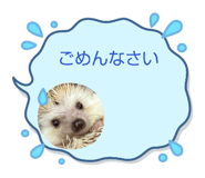 846211950
