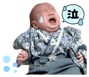 846212068