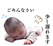 846212080