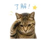 846212408