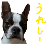 846212450
