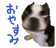 846212456