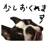 846212462