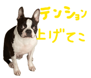 846212466