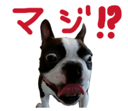 846212468