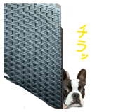 846212479