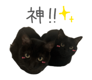 846212698