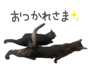846212700