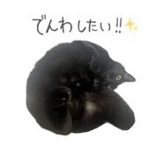 846212706