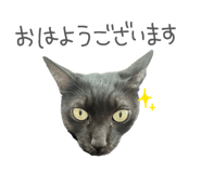 846212710