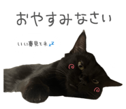 846212711