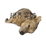 846212898