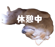 846212900