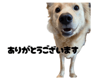 846212908