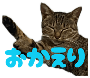846213325