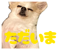 846213326