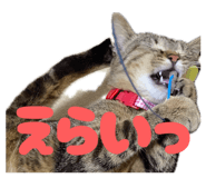 846213335
