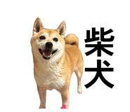 846214377