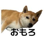 846214381