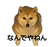 846214383