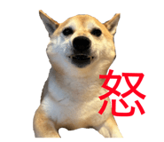 846214384